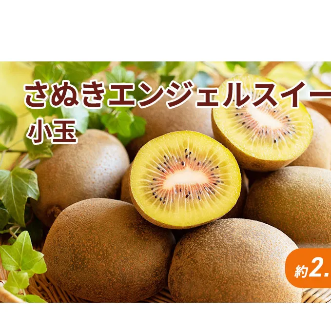 さぬきエンジェルスイート 小玉約2.2kg_キウイフルーツ 果物詰合せ くだもの