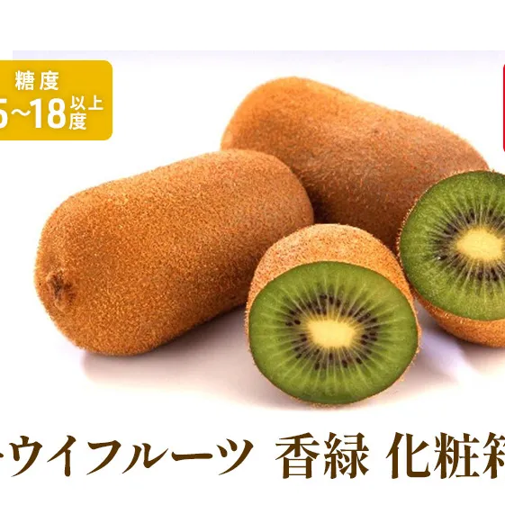 キウイフルーツ「香緑」約1.4kg化粧箱_キウイフルーツ 果物詰合せ くだもの 