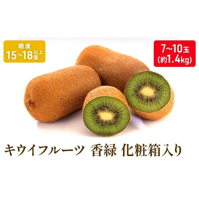 キウイフルーツ「香緑」約1.4kg化粧箱_キウイフルーツ 果物詰合せ くだもの