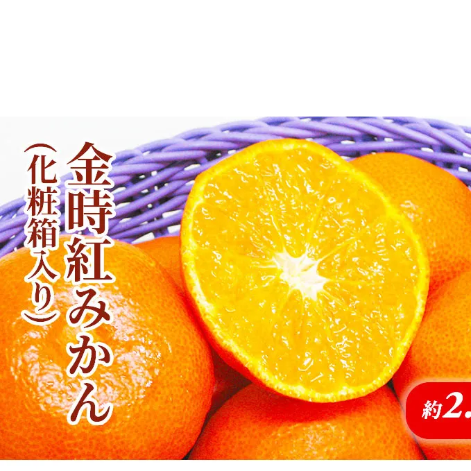 金時紅みかん 化粧箱(約2.5kg)_みかん 果物類 柑橘類 フルーツ ミカン 蜜柑 くだもの