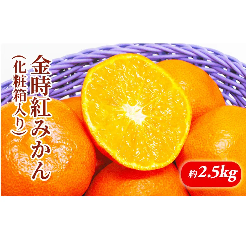 金時紅みかん　化粧箱（約2.5kg）_みかん 果物類 柑橘類 フルーツ ミカン 蜜柑 くだもの