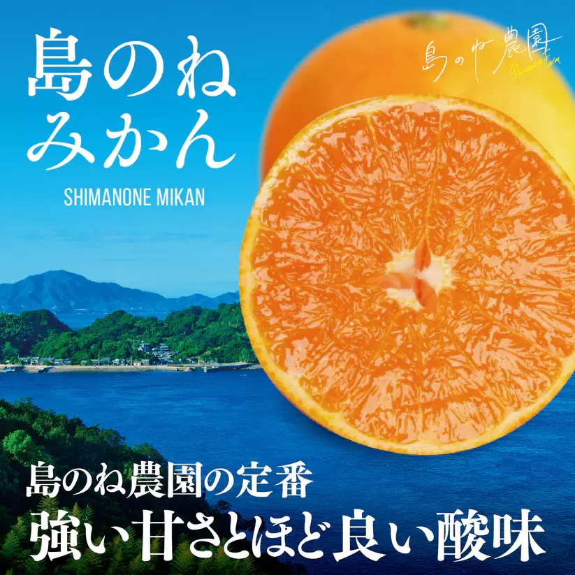 【先行予約】島のね農園 みかん 家庭用 5kg