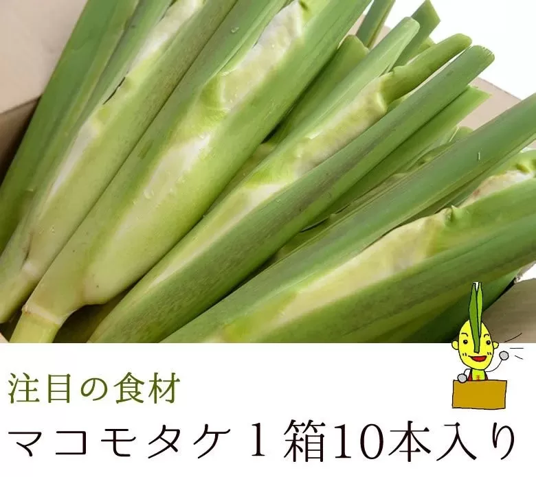 マコモタケ1箱10月上旬～11月下旬限定（森のともだち農園玉川町）