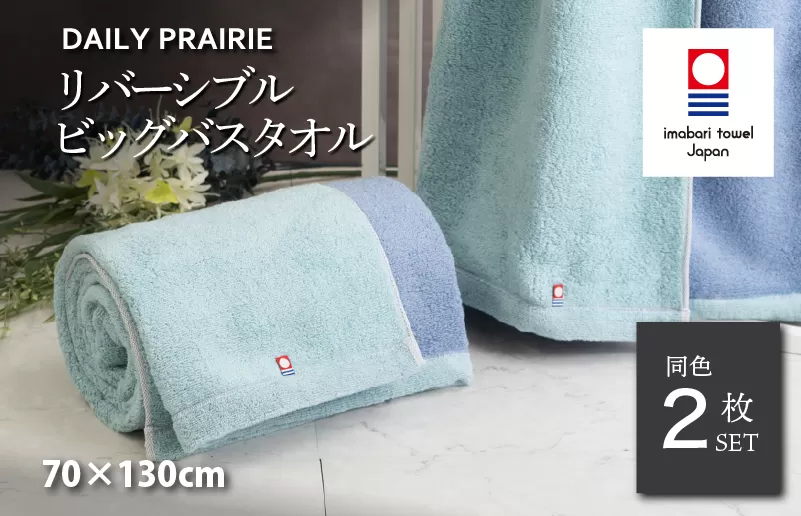 （今治タオルブランド認定）DAILY PRAIRIE リバーシブルビッグバスタオル 2枚セット （ミント／ブルー）