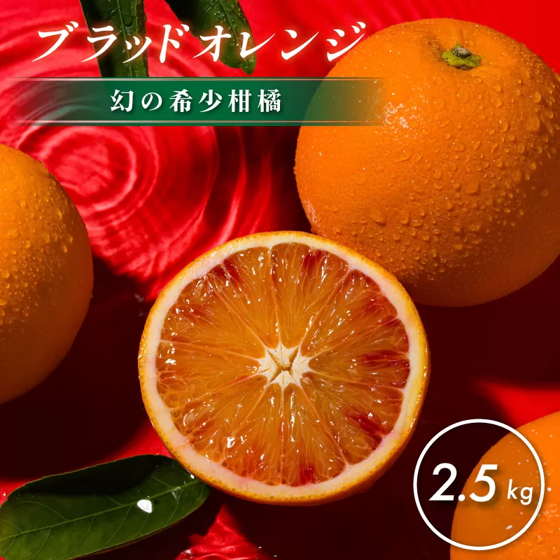 【先行予約】【数量限定】ホリ田ヤ ブラッドオレンジ 2.5kg