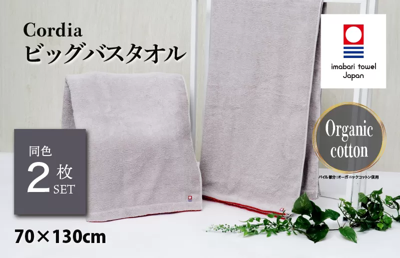 （今治タオルブランド認定品）Cordiaビッグバスタオル 2枚 （ライトグレー） [I003960BBT2LGY] 今治タオル タオル バスタオル 大きめ 今治バスタオル 毛羽落ち 吸水 速乾 軽量 ふわふわ 超無撚糸 ギフト ギフトセット お祝い 贈り物 日本製 プレーリードッグ