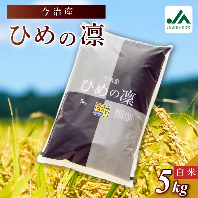 【令和6年産】今治産 米（ひめの凜）5kg　米 お米 コメ おこめ 白米 精米 ごはん ご飯 ひめの凜 愛媛県産 今治産
