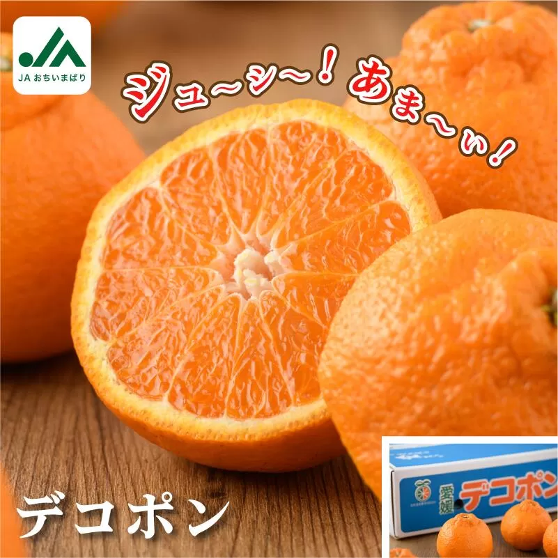 【先行予約】【数量限定】今治産　デコポン 3L～L 18～24玉　JAおちいまばり
