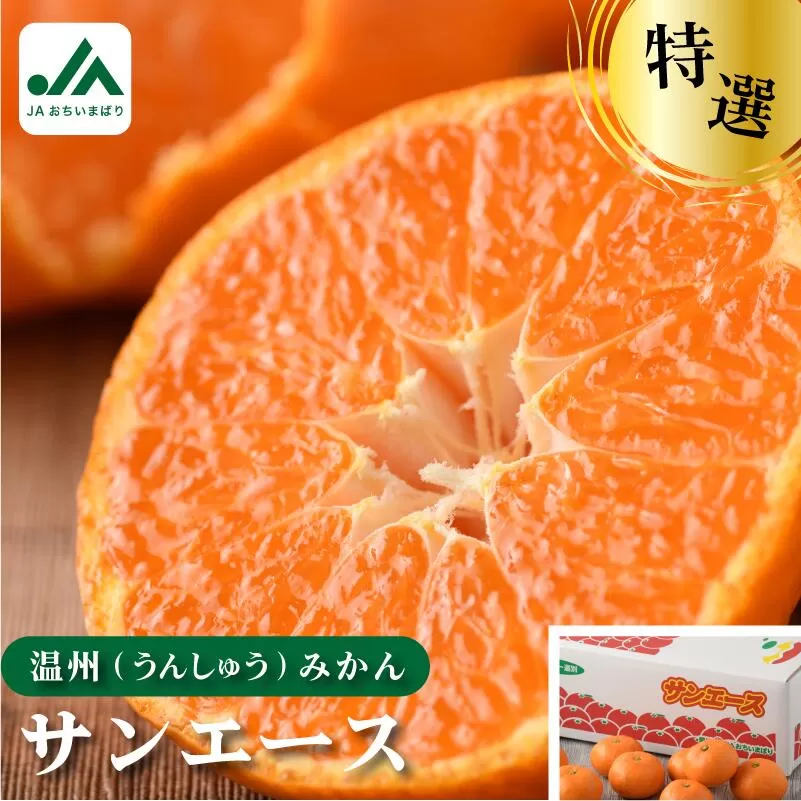 【先行予約】特選品温州みかんサンエース