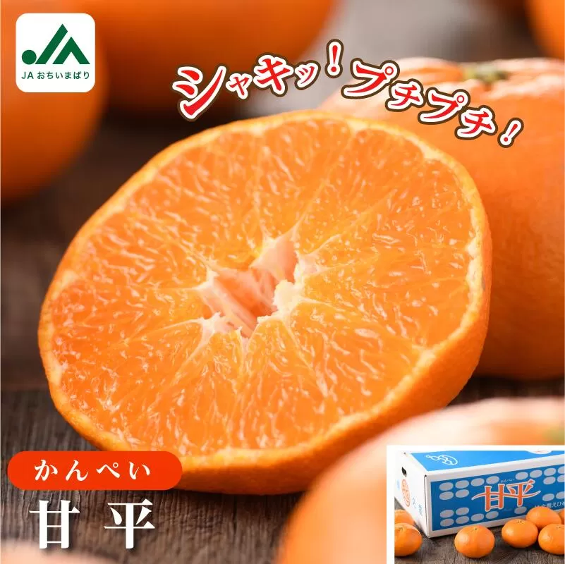 【ご家庭用】【先行予約】今治産甘平レギュラー箱 ５ｋｇ
