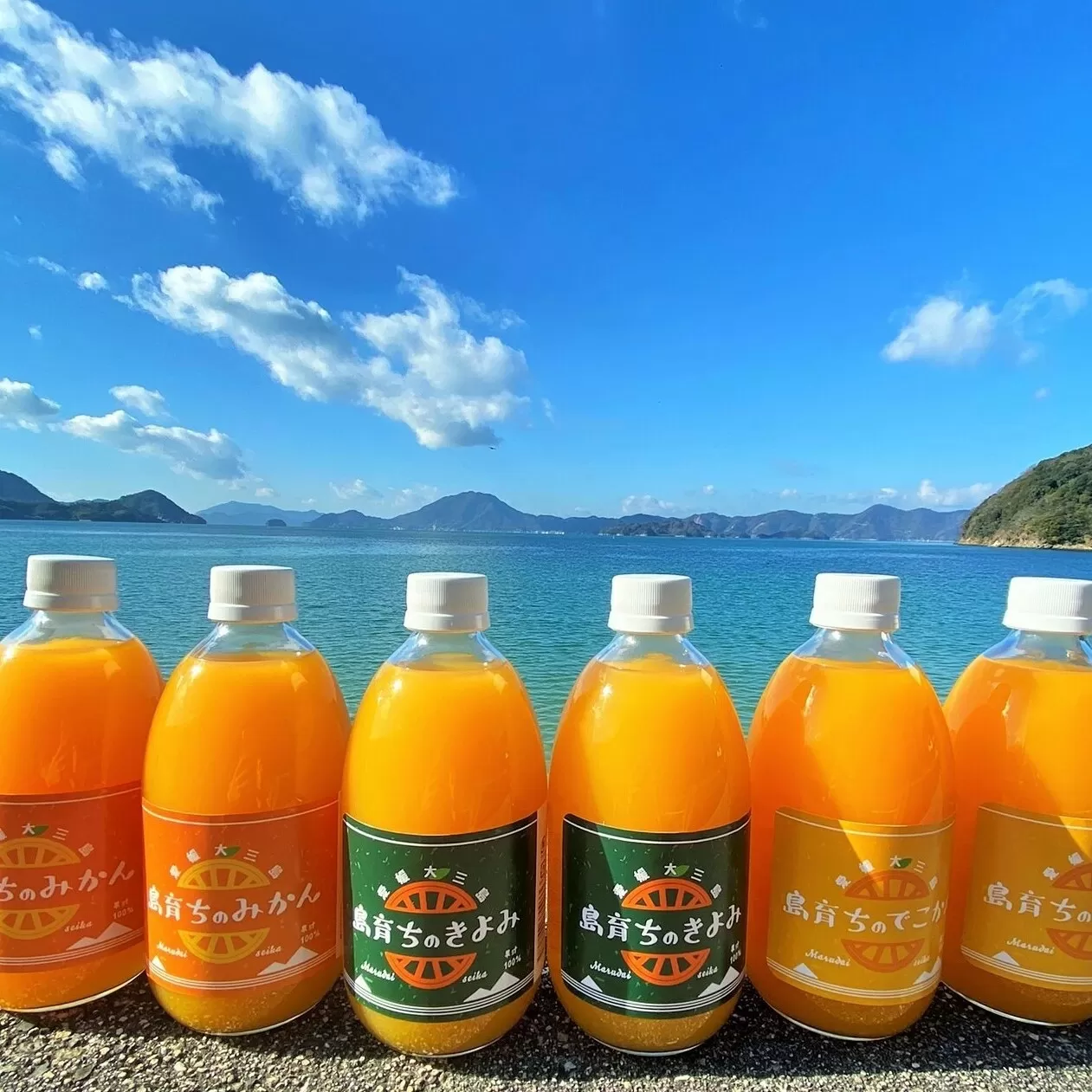 「島育ち」柑橘ジュース(丸大青果大三島町）