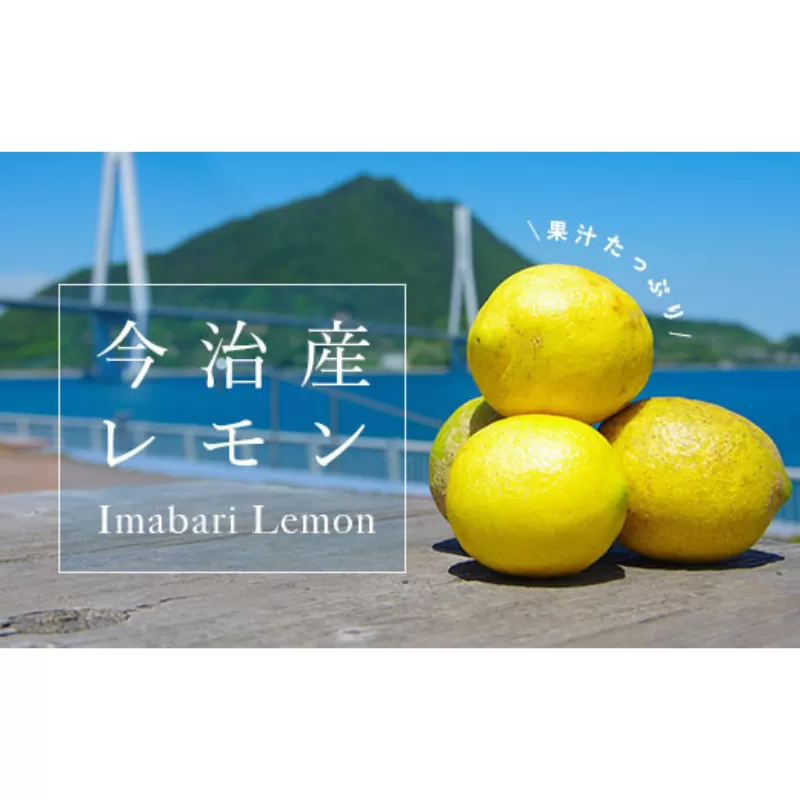 【先行予約】今治産　レモン　10ｋｇ