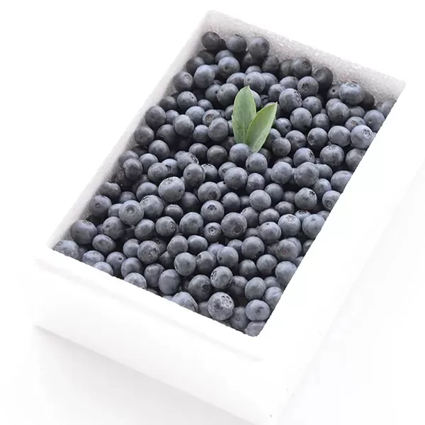 【先行予約】今治産ブルーベリー「媛ベリー」1kg７月下旬～8月下旬限定（森のともだち農園玉川町）