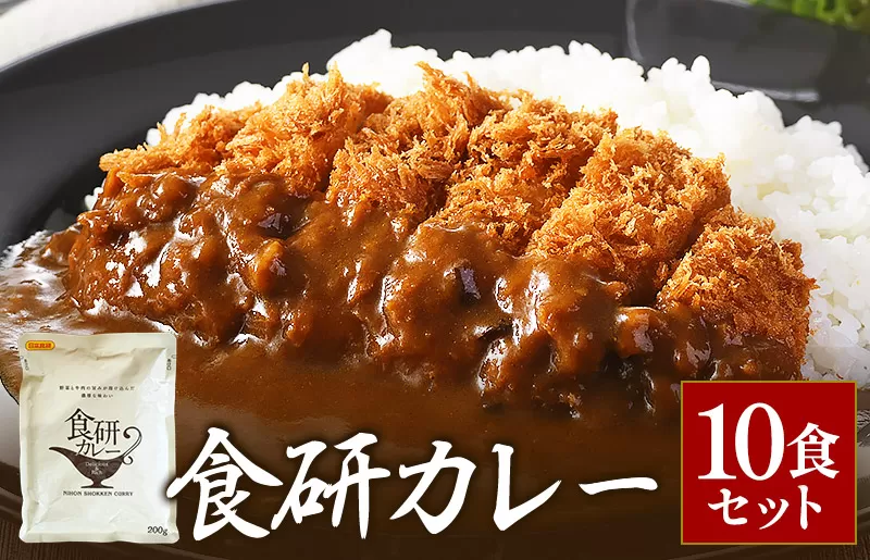 食研カレー200ｇ×10袋 