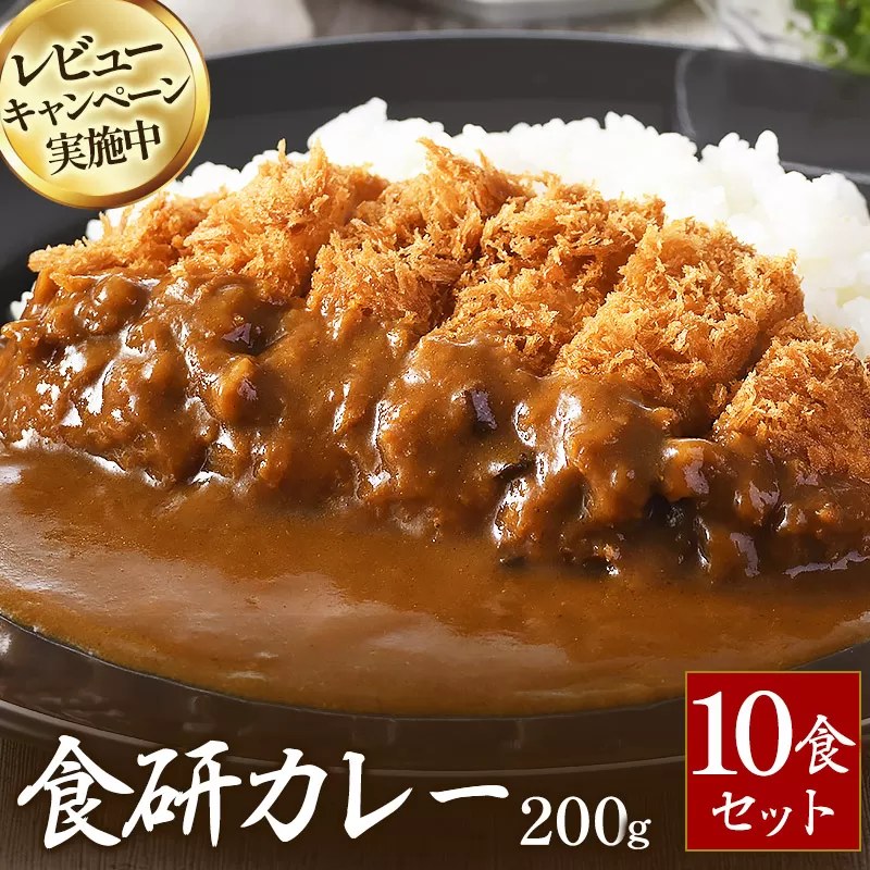 食研カレー２００ｇ×１０袋 