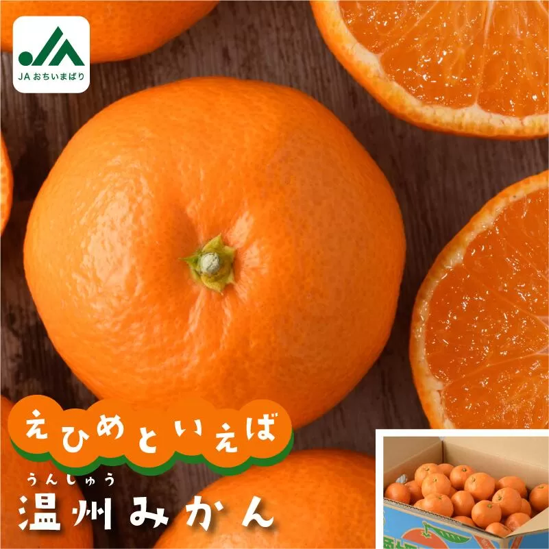 今治産 温州みかん 10kg