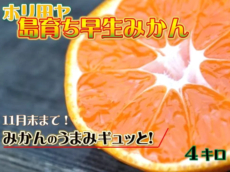 【先行予約】ホリ田ヤ 島育ち 早生みかん 4キロ 