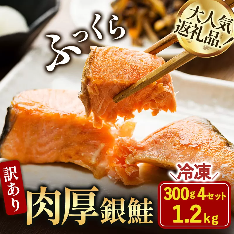 訳あり塩銀鮭切り身 1.2kg(300g×4袋)[V003250][配送不可地域:離島] 銀鮭 鮭 サーモン 冷凍 肉厚 海産物 海鮮 魚介類 新鮮 高たんぱく 時短 簡単調理 今治市 愛媛県 ふるさと納税 愛媛海産 銀鮭切り身 訳あり サイズ不揃い 人気の海鮮返礼品 家計応援