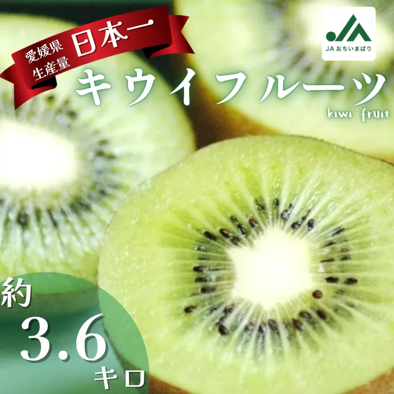 【先行予約】今治産　キウイフルーツ　L～M　30～33個　グリーンキウイ　JA厳選　国産