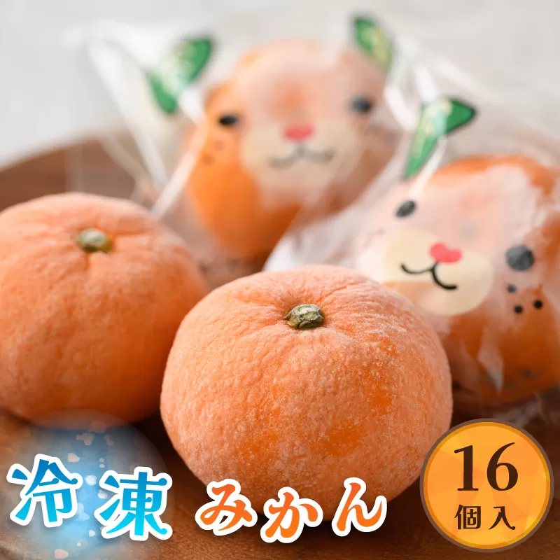 今治産　冷凍みかん（16個入り）