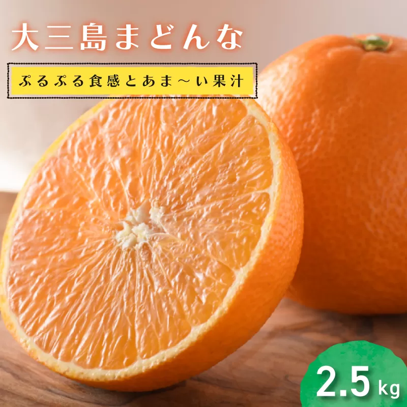 【先行予約】【数量限定】ホリ田ヤ大三島まどんな2.5キロ【2025年12月中旬より順次発送】