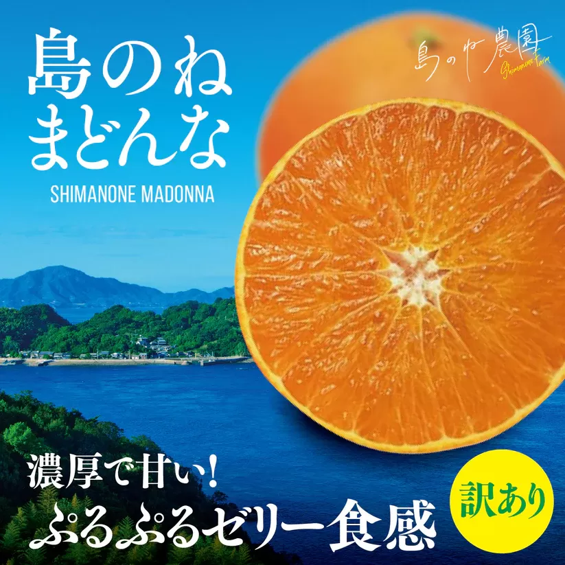 【先行予約】【訳あり】島のね農園まどんな(4kg) 