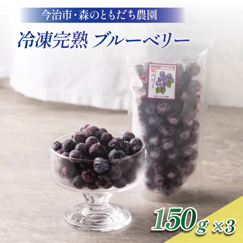 冷凍ブルーベリー（スタンディングパック）１５０ｇ×３パック