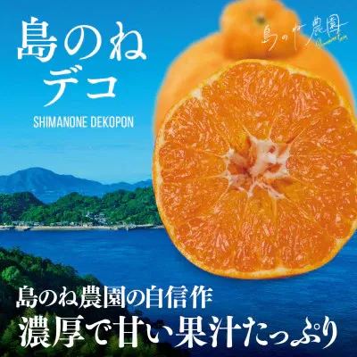 【先行予約】【数量限定】島のね農園のプレミアム不知火 島のねデコ ４ｋｇ