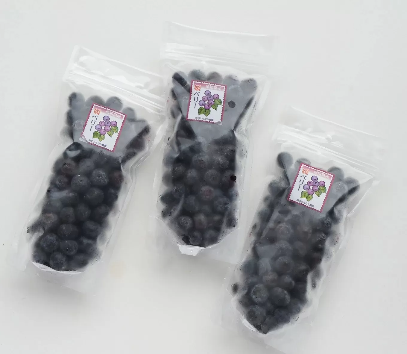 冷凍ブルーベリー（スタンディングパック）１５０ｇ×３パック