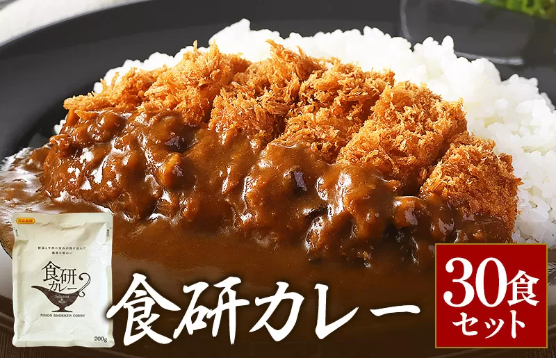食研カレー200g×30袋