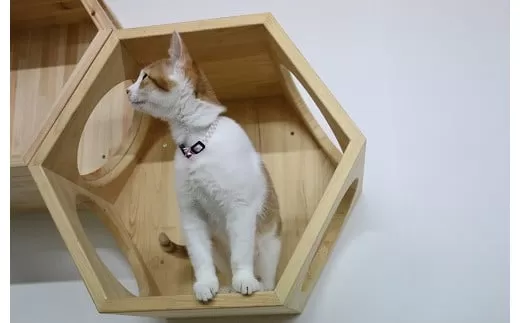 ネコロク（国産ヒノキのキャットステップ）