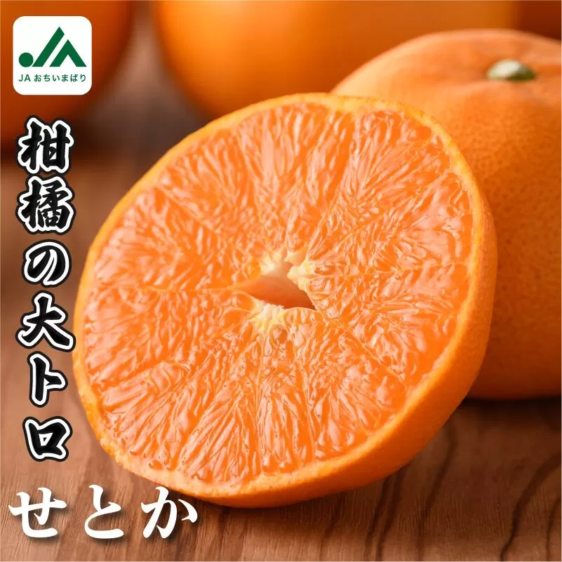 【ご家庭用】【先行予約】【数量限定】今治産せとか　レギュラー箱　５ｋｇ　とろけるやわらかな果肉が特徴　みかん　柑橘　せとか