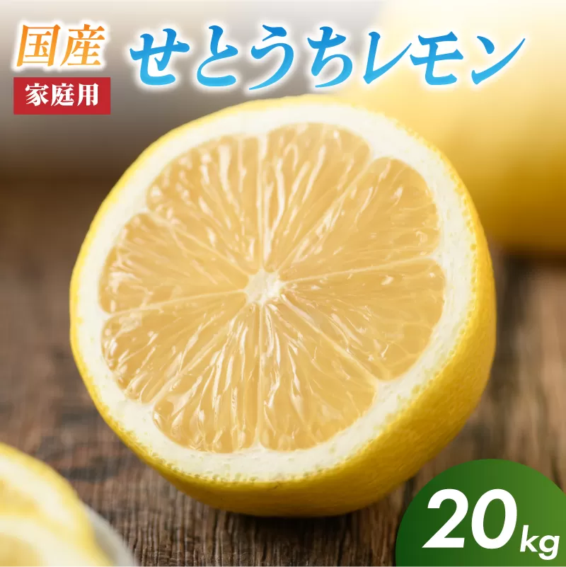 せとうちレモン　今治産　20kg