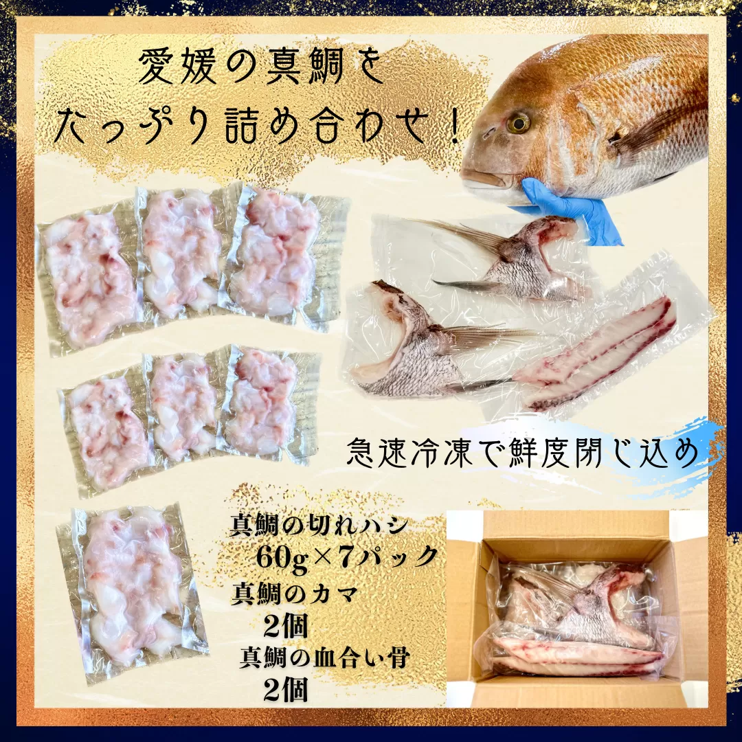 さかなやのまかない食材【愛媛の真鯛】生食用切り落とし１パック付き