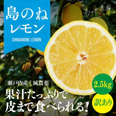 【先行予約】【訳あり】島のねレモン　2.5kg