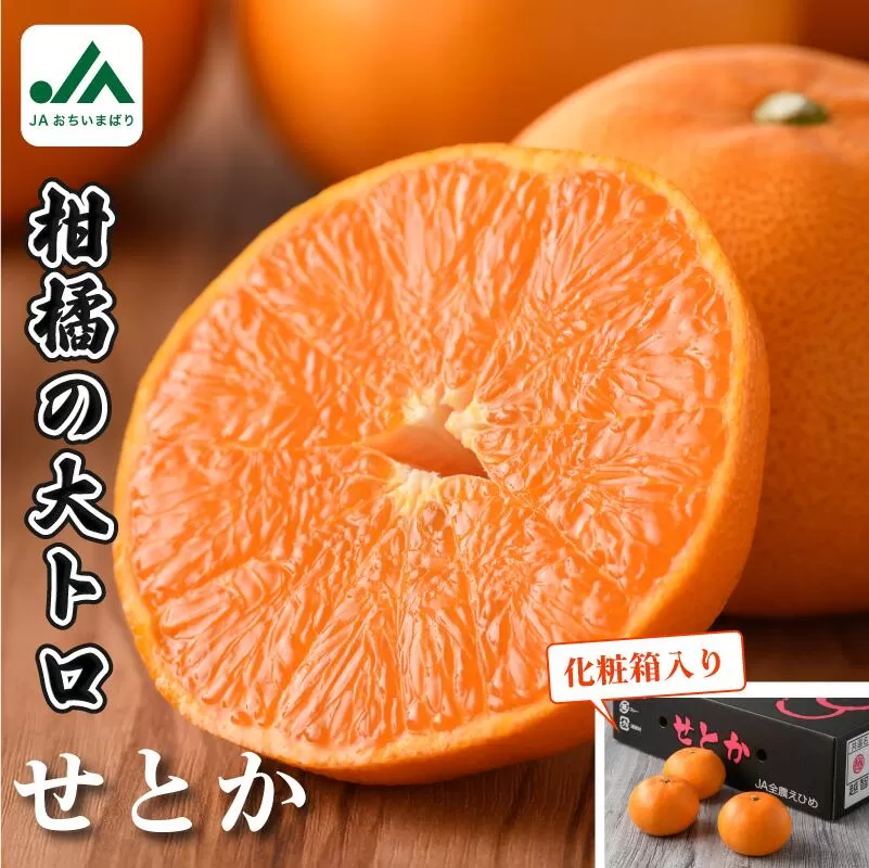 【先行予約】【数量限定】今治産せとか　化粧箱　 3L～L 10～15玉　とろけるやわらかな果肉が特長　 みかん　柑橘　せとか　フルーツ　贈答用