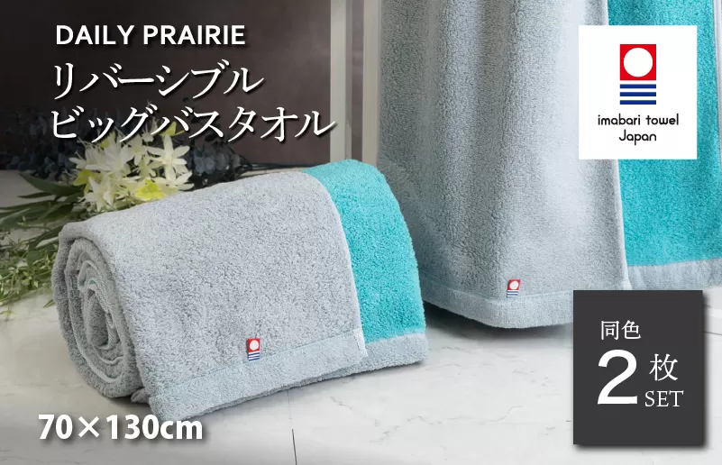 (今治タオルブランド認定)DAILY PRAIRIE リバーシブルビッグバスタオル 2枚セット (グレー/ターコイズ)