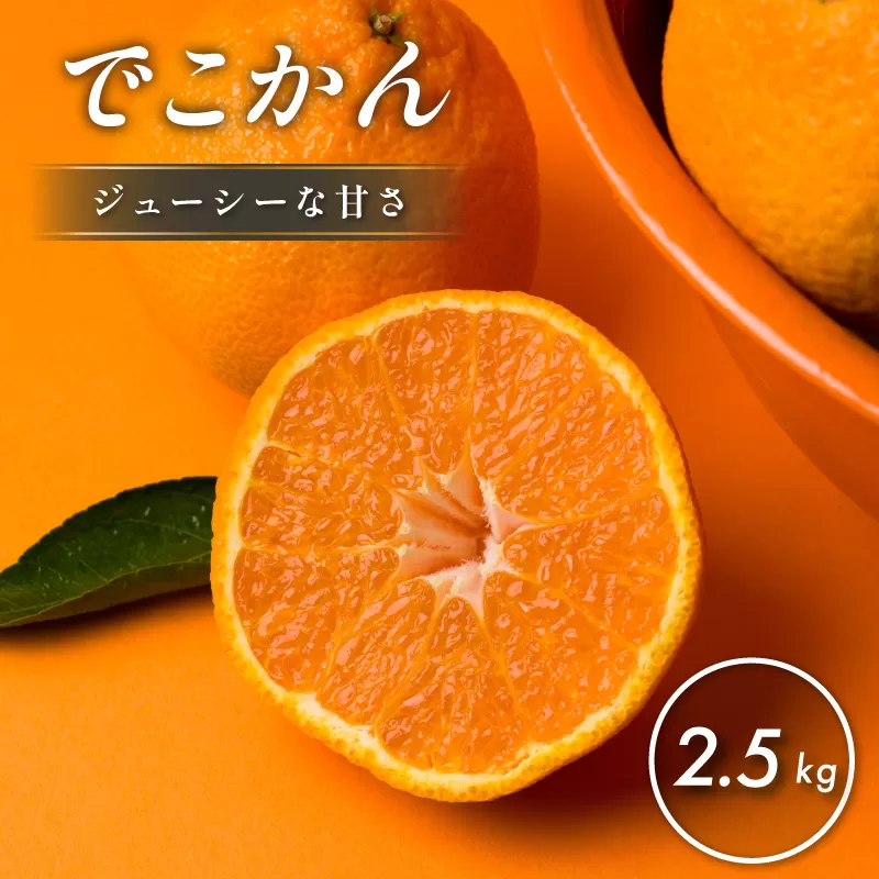【先行予約】【数量限定】ホリ田ヤ でこかん 2.5kg