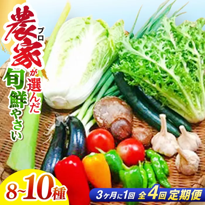 【4回定期便】高知県産 土佐季節の野菜詰め合せセット/3ヵ月に1回 野菜 定期 お野菜 高知 やさい 季節もの【香稜苑】 [ATBQ010]