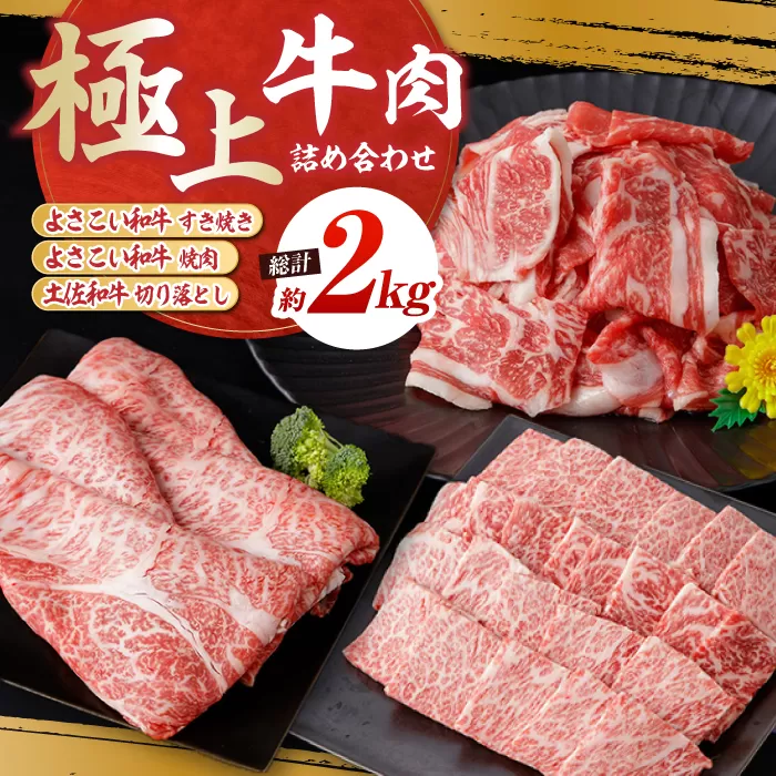 高知から美味しい牛肉詰め合わせ すき焼き 焼肉 切り落とし 総計約2kg 牛肉 すきやき 焼き肉 国産 肉 A4 A5 食べ比べ 【(有)山重食肉】 [ATAP008]