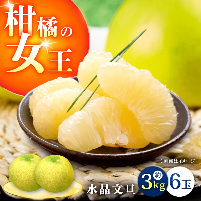 【9月下旬頃より発送】高知県産 水晶文旦 約3kg 6玉入 【株式会社　四国健商】 [ATAF032]