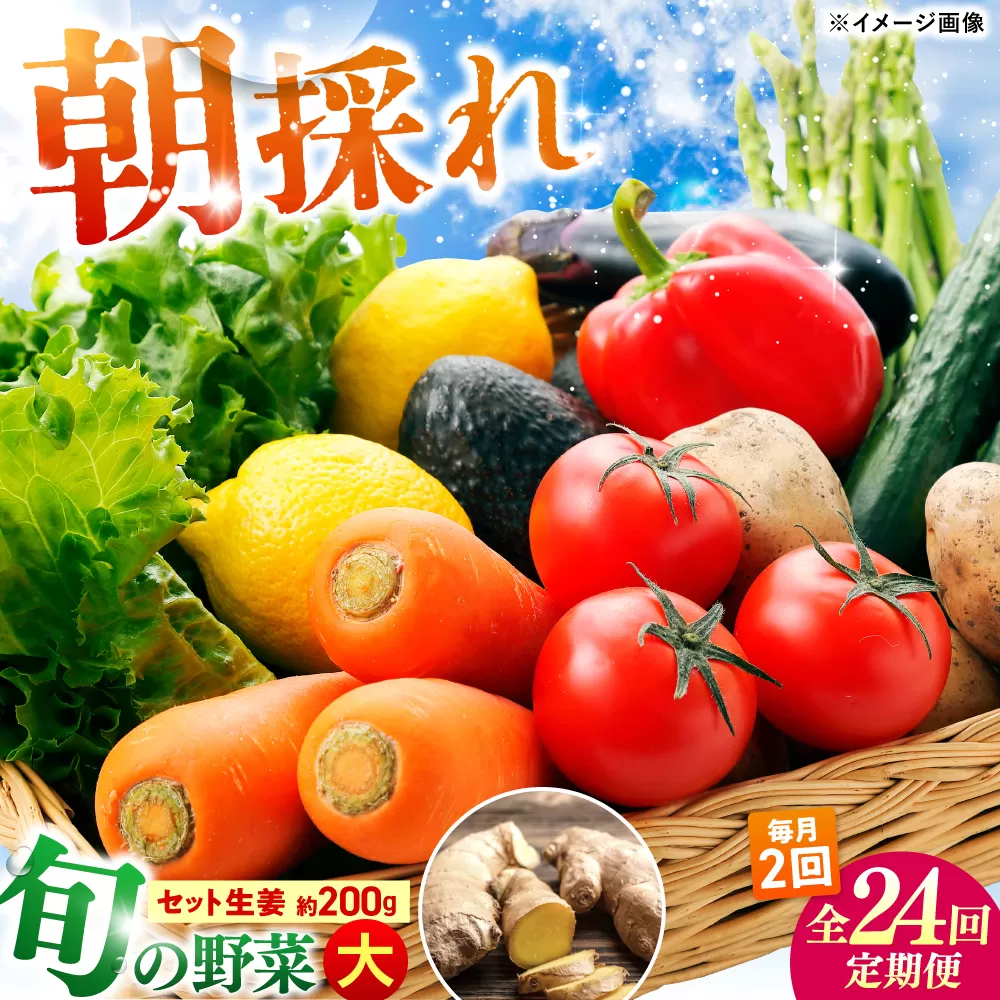 【24回定期便・月2回配送】 土佐の太陽をいっぱいに浴びた旬の野菜10〜13品目と生姜約200gのセット / 高知 土佐 旬 野菜 生姜 詰め合わせ セット 仕送り 【土佐野菜】 [ATBA017]
