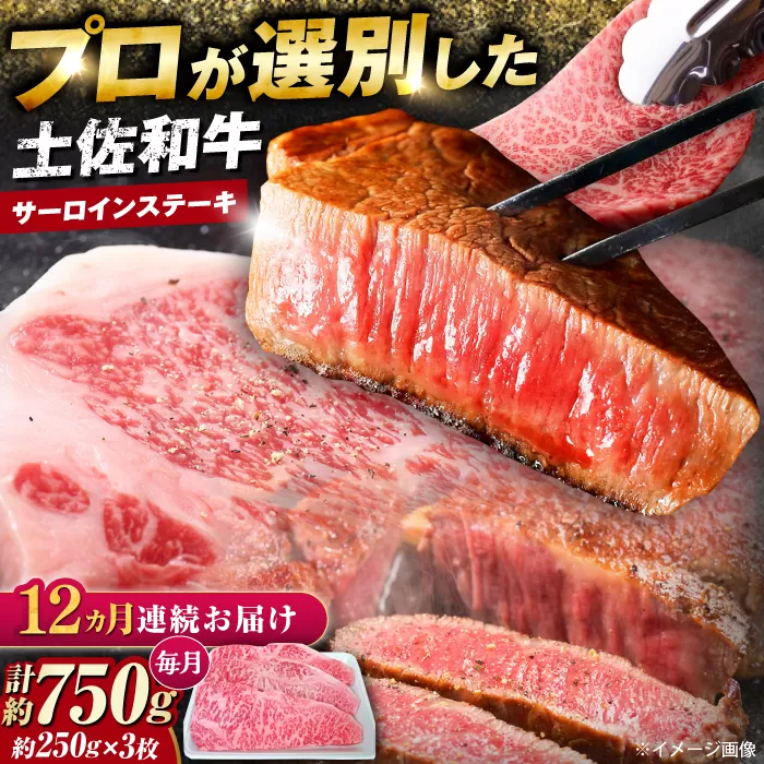【12回定期便】土佐黒毛和牛 サーロインステーキ (約250g×3枚) 総計約9kg 【株式会社 四国健商】 [ATAF130]