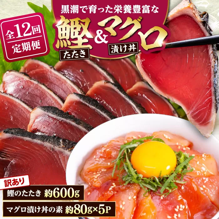 【12回定期便】規格外カツオたたき 約600g＋マグロ漬け丼の素 約80g×5パック 【興洋フリーズ株式会社】 [ATBX127]