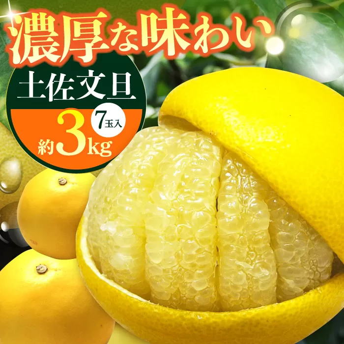 南国高知温室 土佐文旦 約3kg 7玉 文旦 ぶんたん フルーツ 果物 3キロ 高知県 【フルーツショップオザキ】[ATAH011]