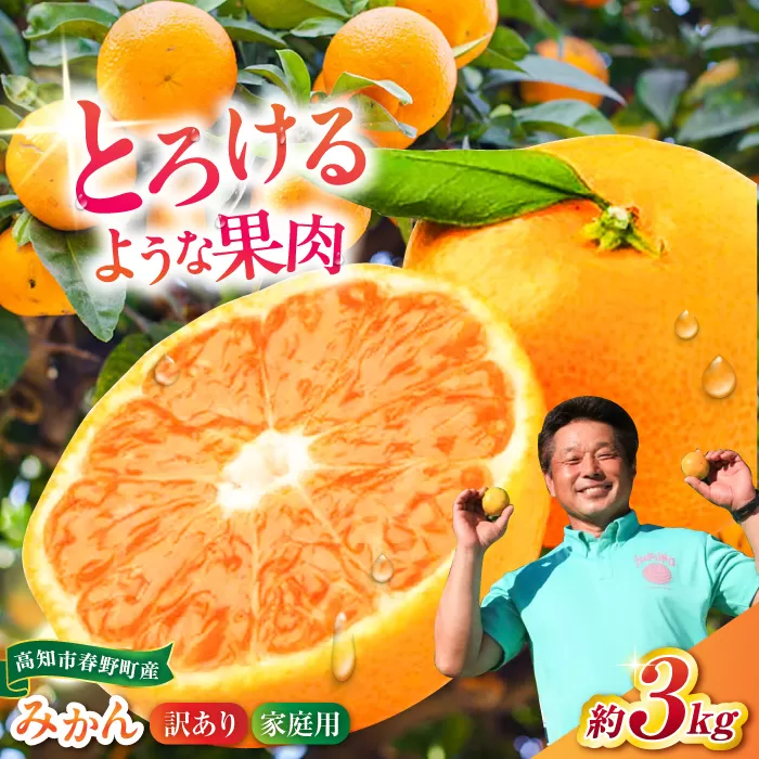 高知市春野町 西込さんの美味しいみかん 約3kg ご家庭用 ワケあり 【株式会社 四国健商】 [ATAF012]