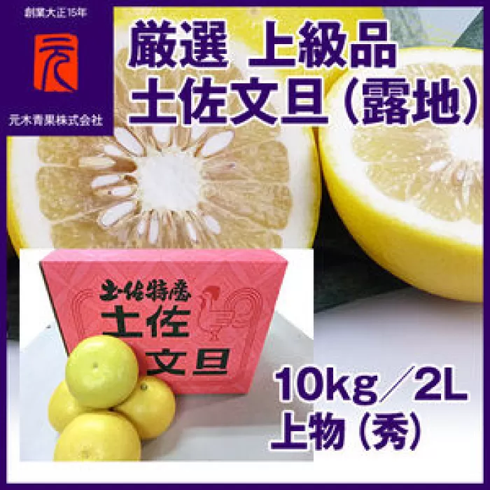 厳選上級品 土佐文旦（露地）／約10kg／２L 上物（秀）／【グレイジア株式会社】 [ATAC329]