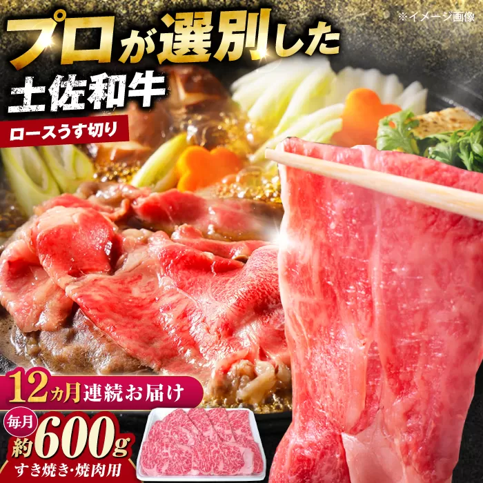 【12回定期便】土佐黒毛和牛 ロースうす切り (すき焼き 焼肉用) 約600g 総計約7.2kg 【株式会社 四国健商】 [ATAF133]