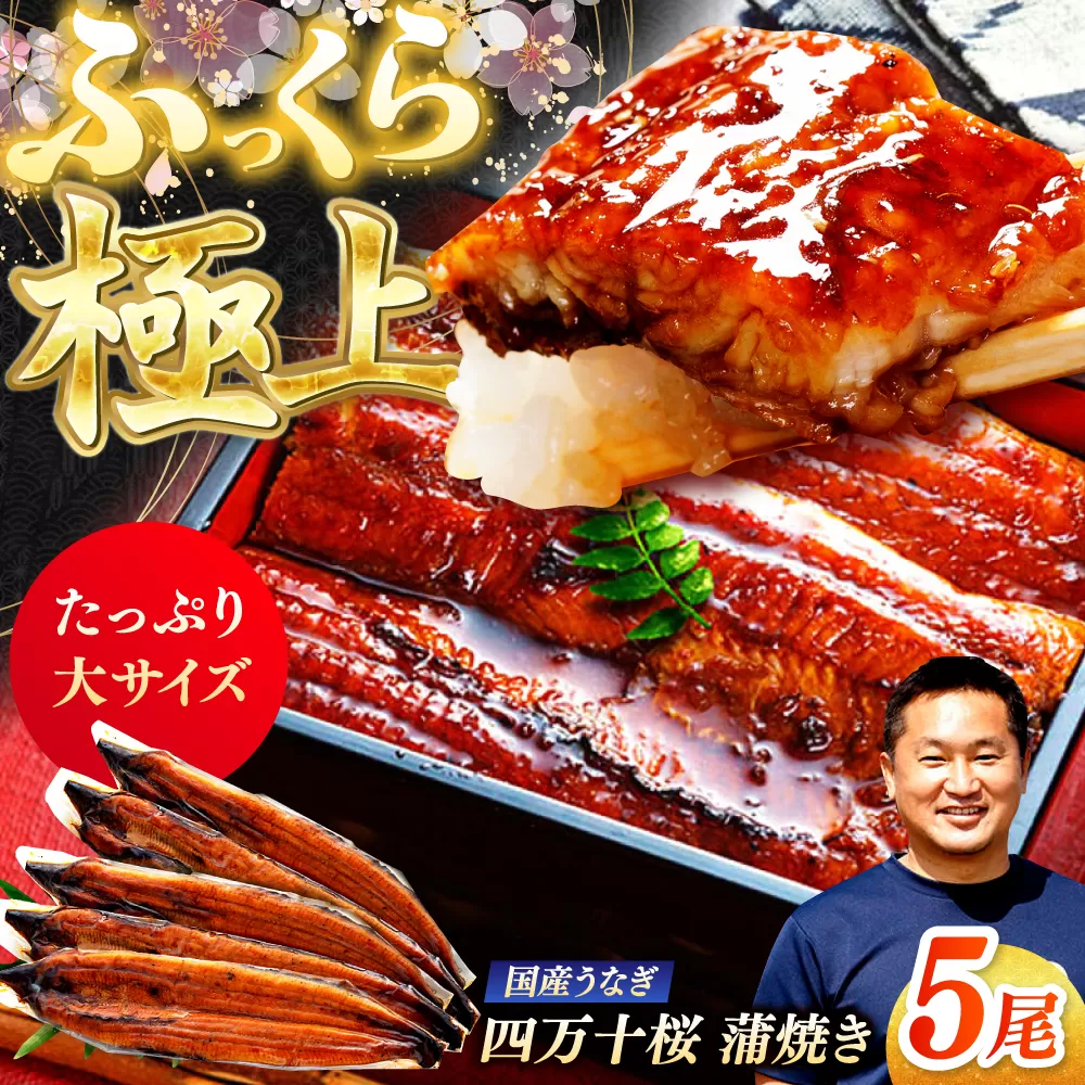 極上国産うなぎ四万十桜 蒲焼き5尾 たっぷり大サイズ / 国産 高知 四万十 うなぎ ウナギ 鰻 蒲焼き うな重 惣菜 贅沢 【有限会社もりた】 [ATHE004]