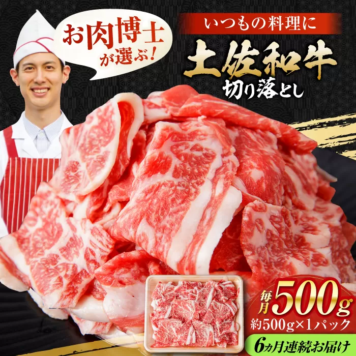 【6回定期便】高知県産 土佐和牛 切り落とし 炒め物 すき焼き用 約500g 総計約3kg 牛肉 切落しすきやき 国産 【(有)山重食肉】 [ATAP100]